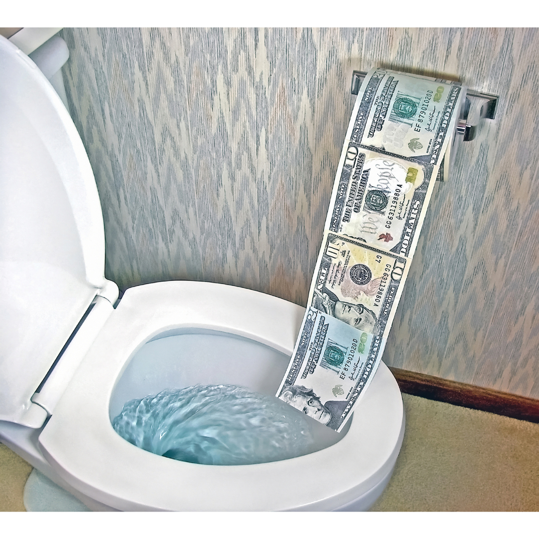 The Real Cost of Wiping: Why Bidets Save You More