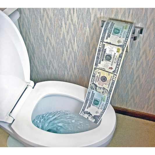 The Real Cost of Wiping: Why Bidets Save You More