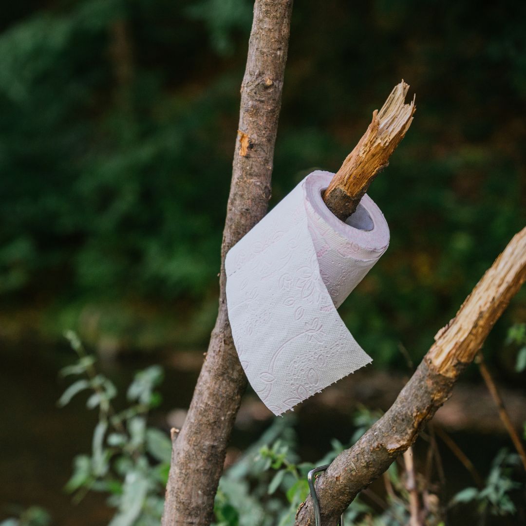 The Cost of Clean: How Australia's Toilet Paper Use Impacts the Environment